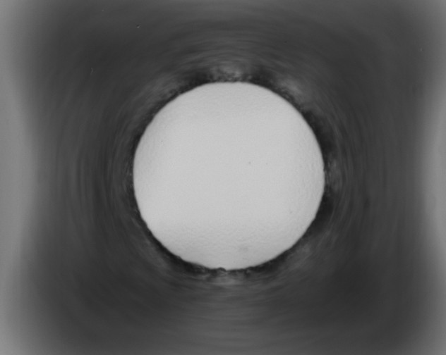 X0000082981009200703020252