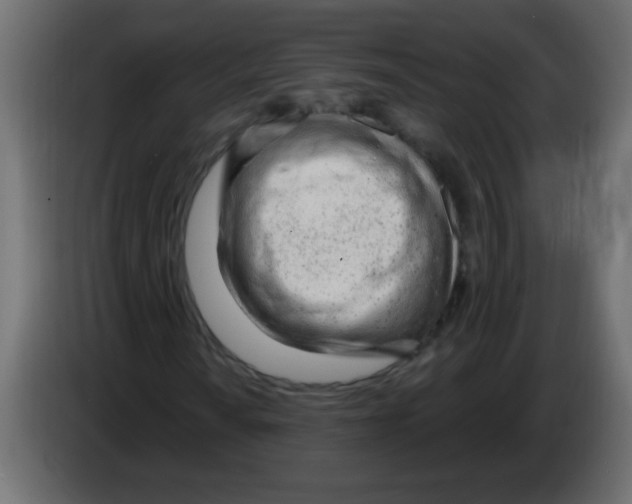 X0000082981010200703020252