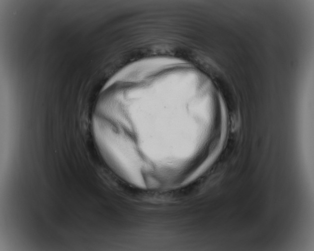 X0000082981011200703020252
