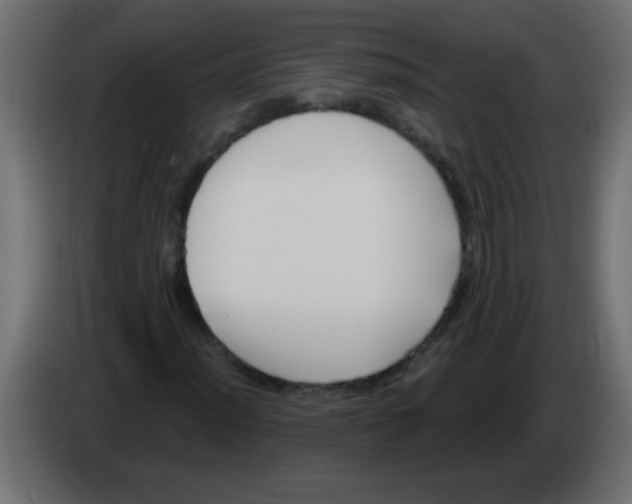 X0000082981012200703020252
