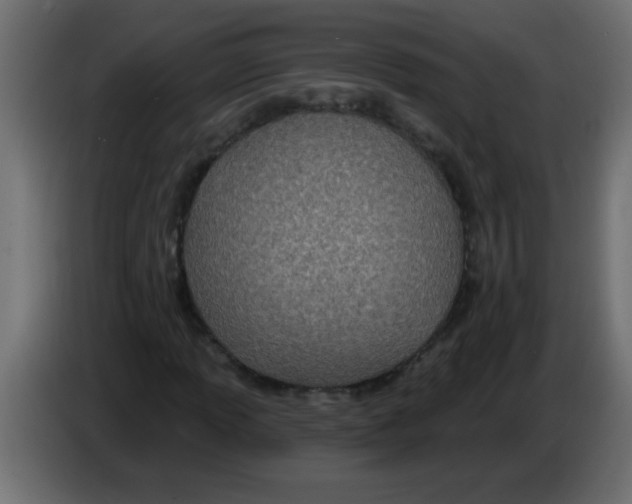 X0000082981013200703020252