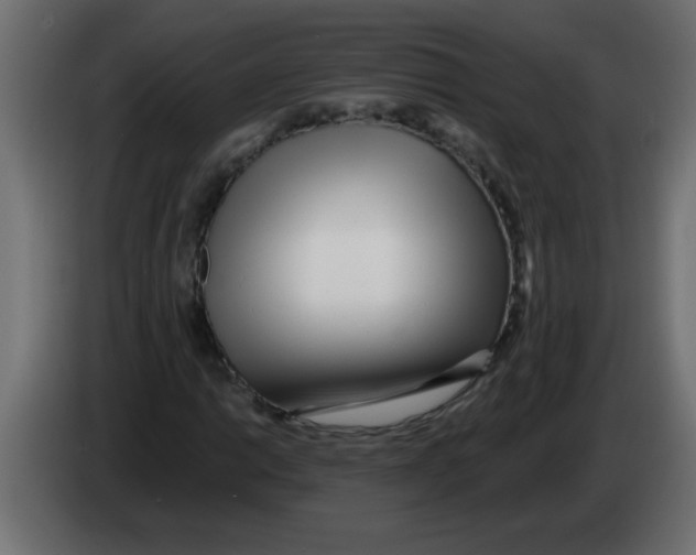 X0000082981014200703020252