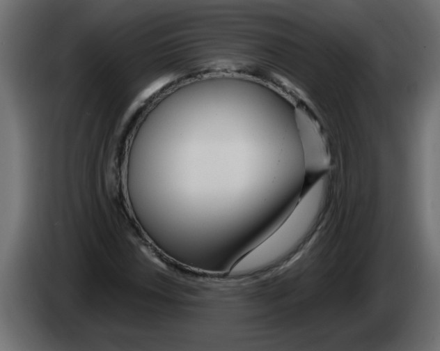 X0000082981018200703020252