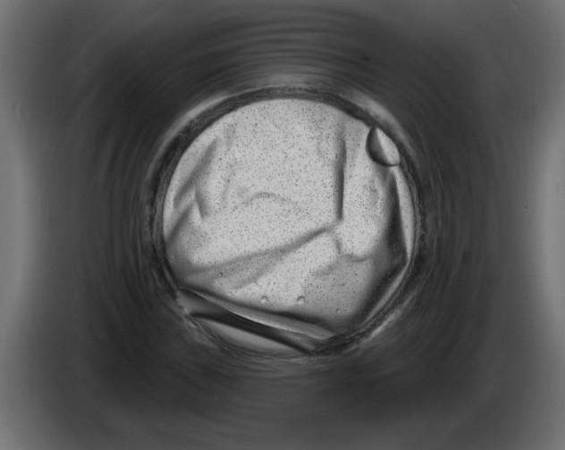X0000082981019200703020252