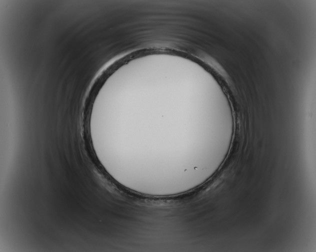 X0000082981020200703020252