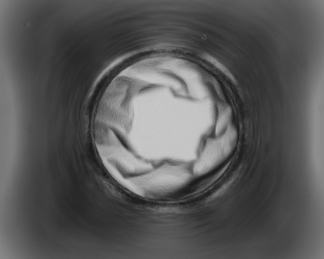 X0000082981021200703020252