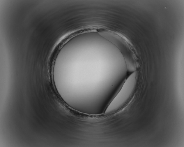 X0000082981022200703020252