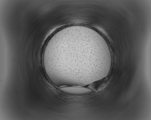 X0000082981023200703020252