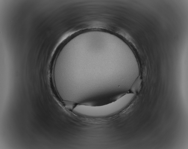 X0000082981024200703020252