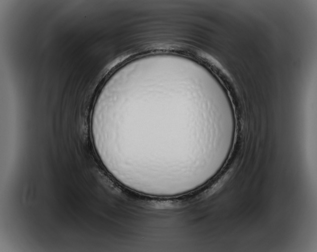 X0000082981025200703020252