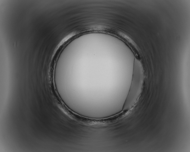 X0000082981026200703020252