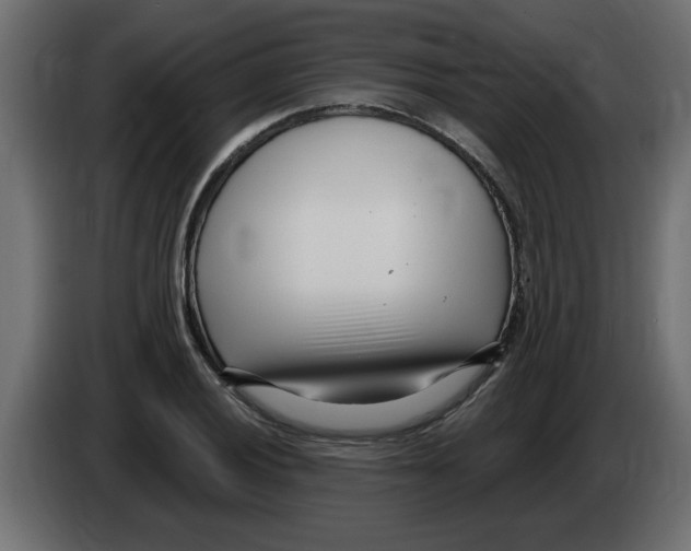 X0000082981028200703020252