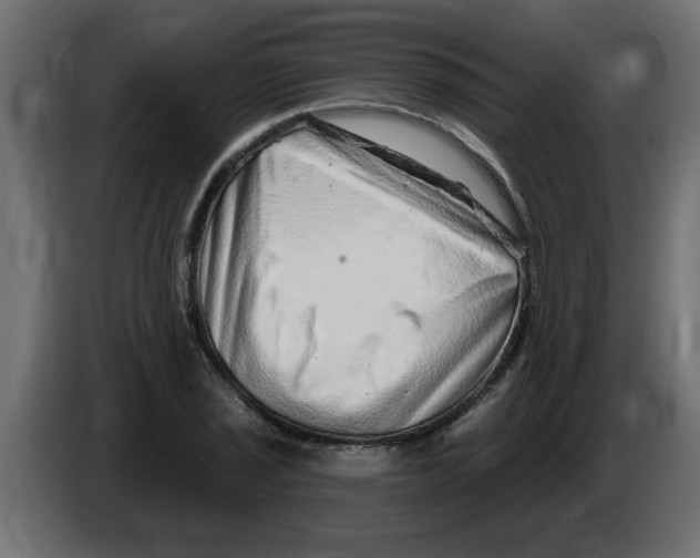 X0000082981029200703020252