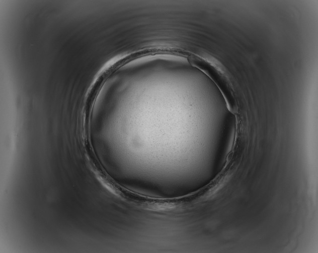 X0000082981030200703020252