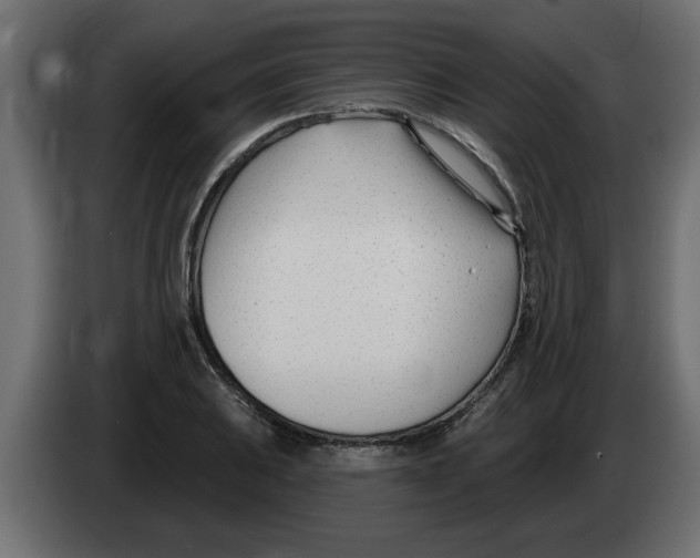 X0000082981031200703020252