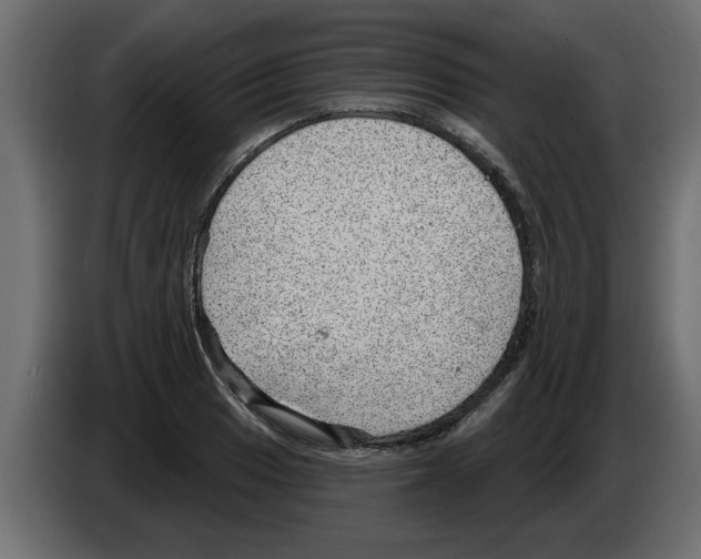 X0000082981033200703020252