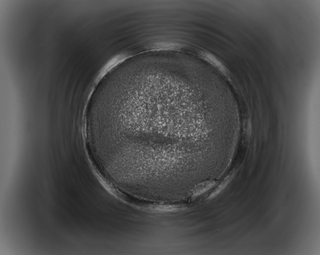 X0000082981034200703020252