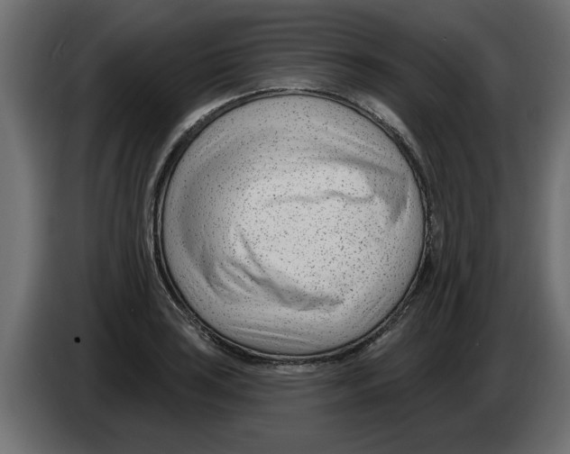 X0000082981035200703020252