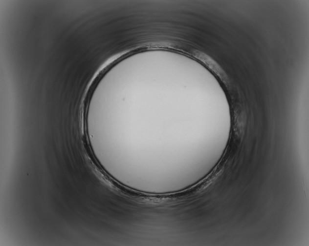 X0000082981036200703020252