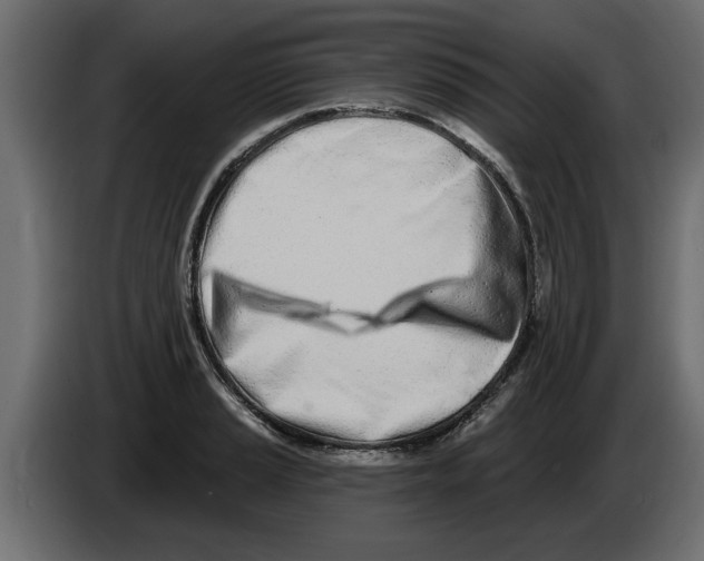 X0000082981037200703020252