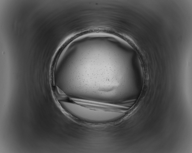 X0000082981038200703020252