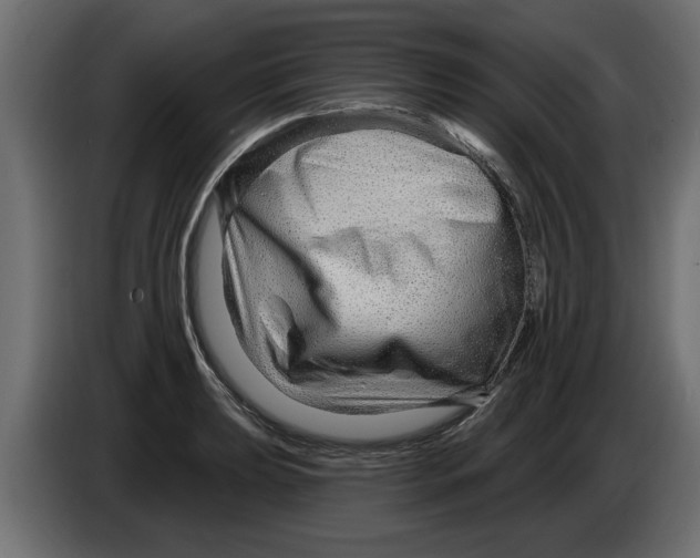 X0000082981039200703020252