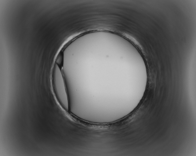X0000082981040200703020252
