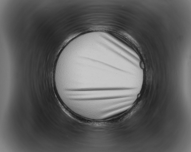 X0000082981041200703020252