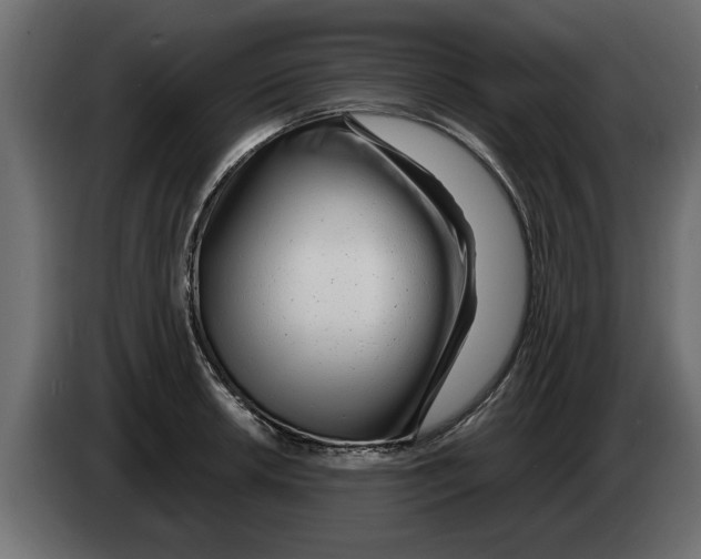 X0000082981042200703020252
