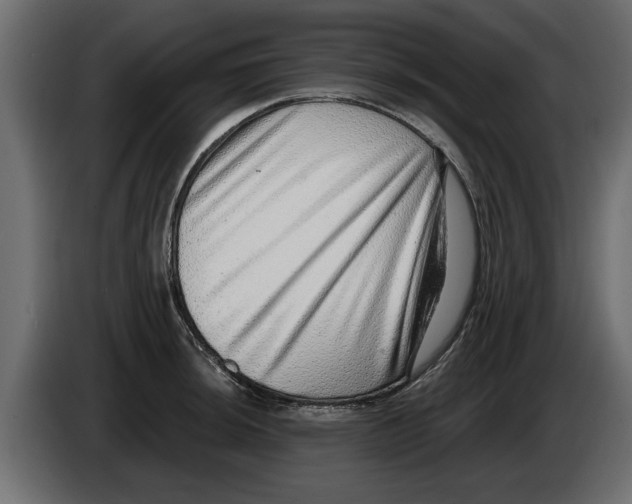 X0000082981044200703020252