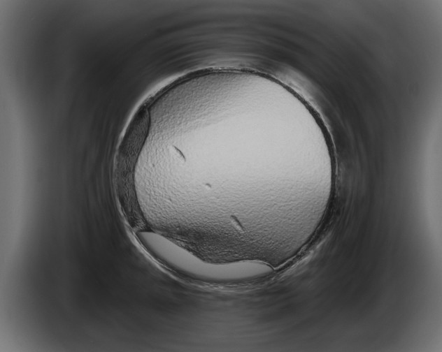 X0000082981045200703020252