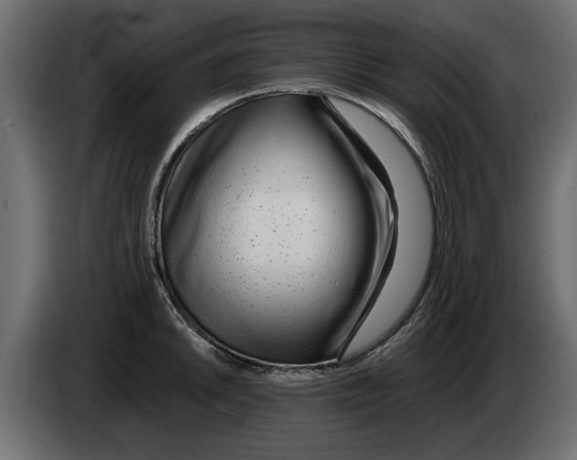 X0000082981046200703020252