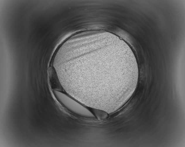 X0000082981047200703020252