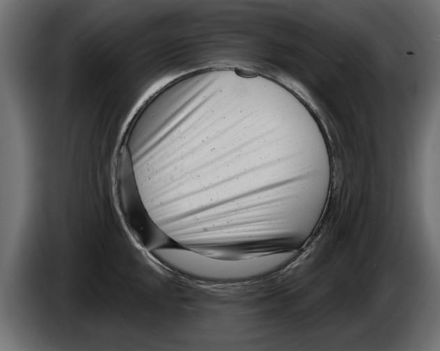 X0000082981048200703020252