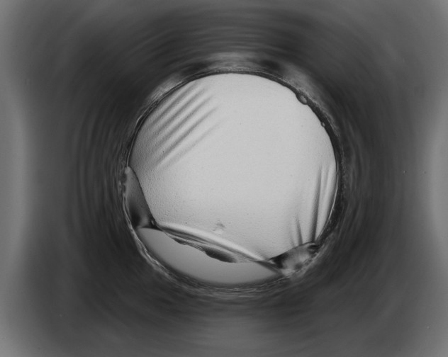 X0000082981049200703020252