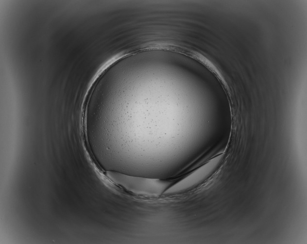 X0000082981050200703020252