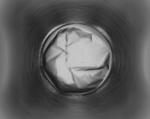 X0000082981052200703020252