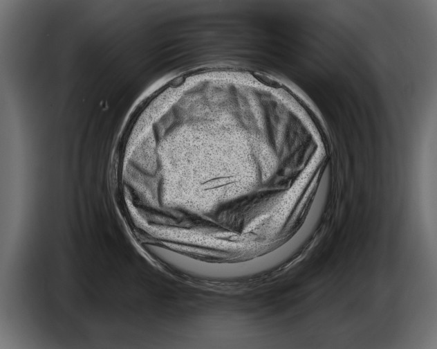 X0000082981053200703020252