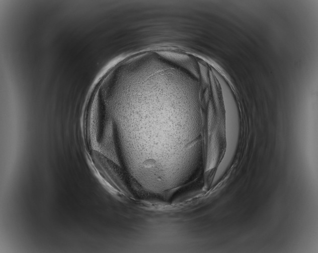 X0000082981054200703020252