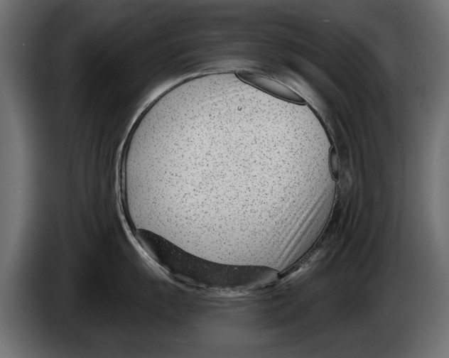 X0000082981055200703020252