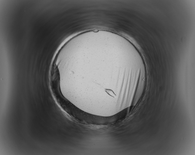 X0000082981056200703020252
