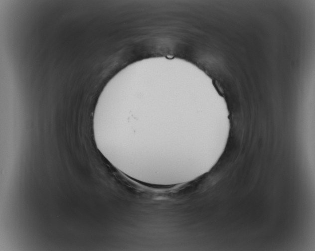 X0000082981057200703020252