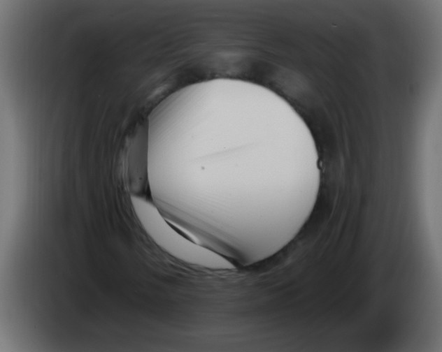 X0000082981058200703020252