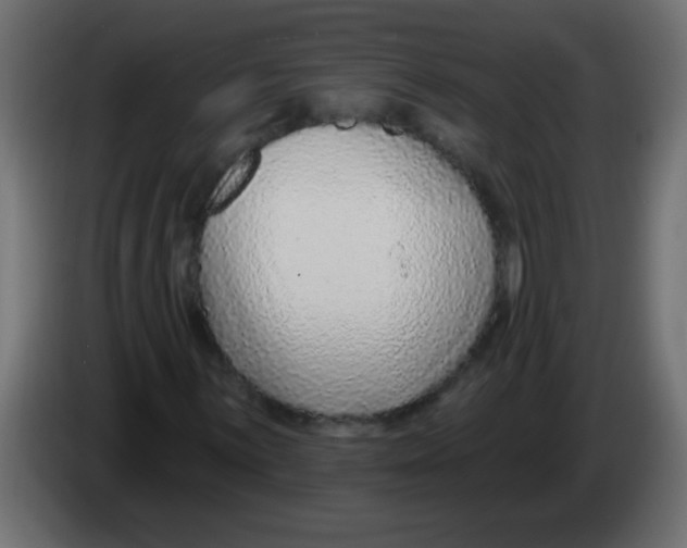 X0000082981059200703020252
