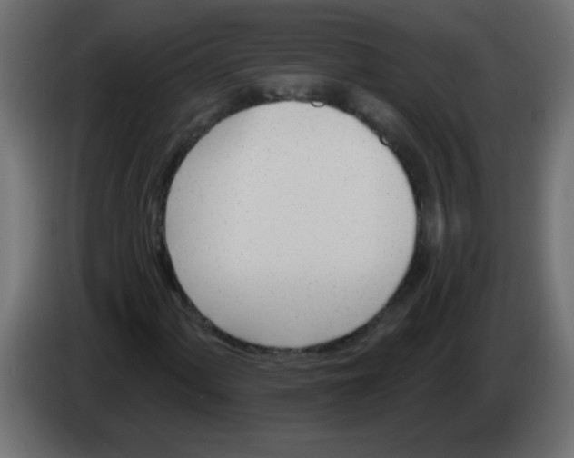 X0000082981060200703020252