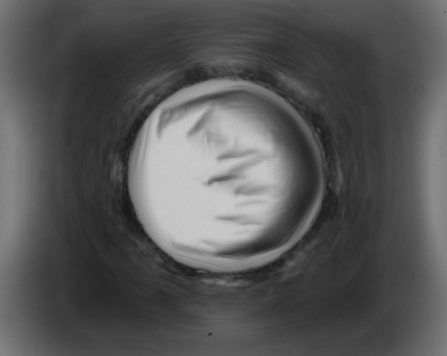 X0000082981061200703020252