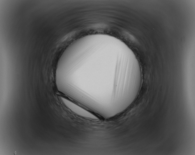 X0000082981062200703020252