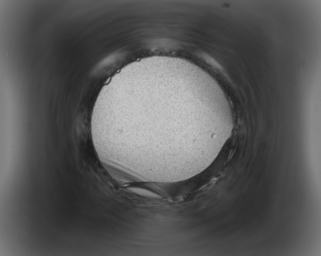 X0000082981063200703020252