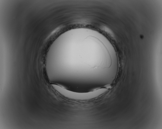 X0000082981064200703020252