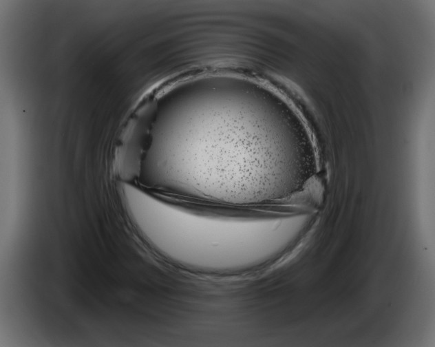 X0000082981065200703020252